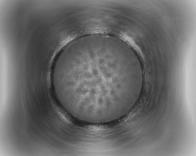 X0000087040250200705021142