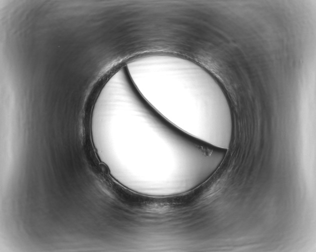X0000087040252200705021142