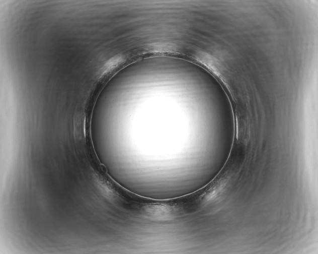 X0000087040253200705021142