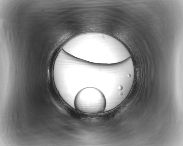 X0000087040254200705021142