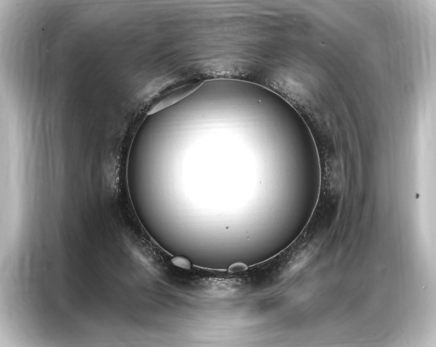 X0000087040255200705021142