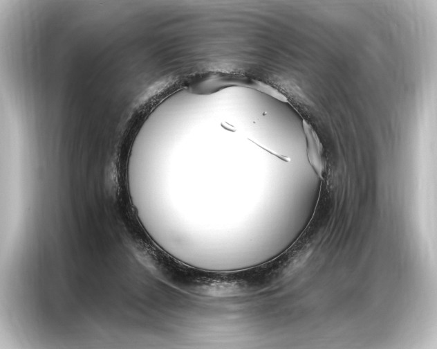 X0000087040256200705021142