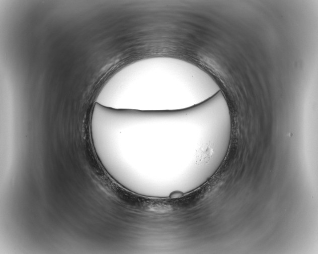 X0000087040258200705021142