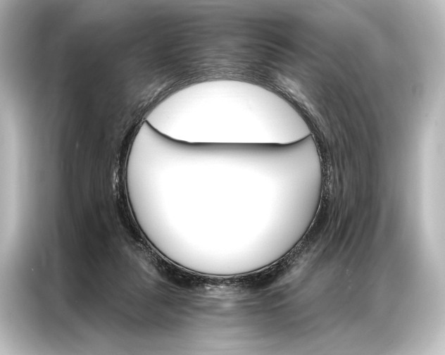 X0000087040259200705021142