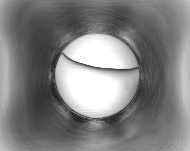 X0000087040261200705021142