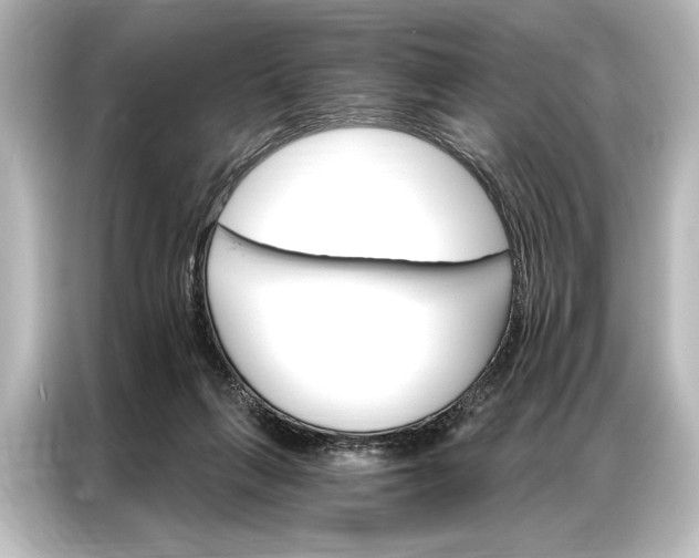 X0000087040263200705021142