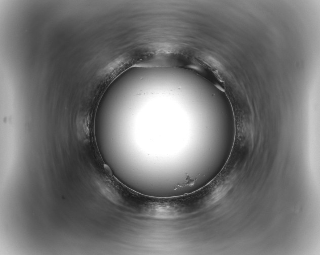 X0000087040264200705021142