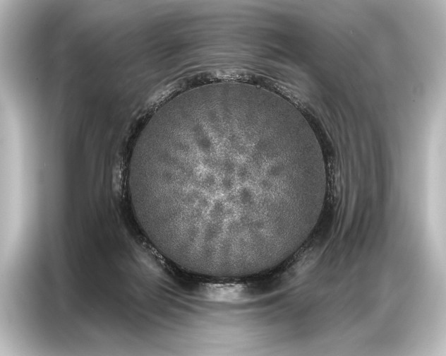 X0000087040266200705021142