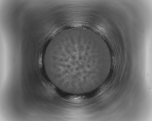 X0000087040267200705021142
