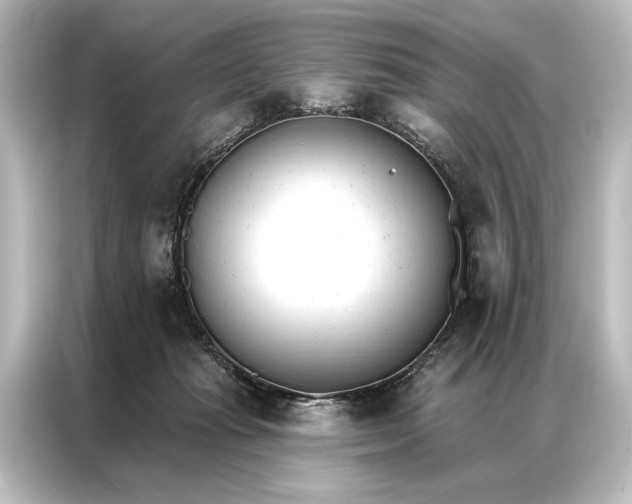 X0000087040269200705021142