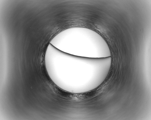 X0000087040273200705021142