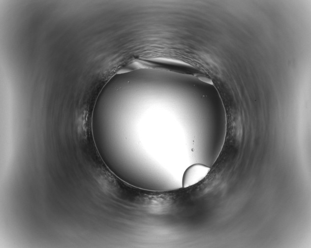 X0000087040275200705021142