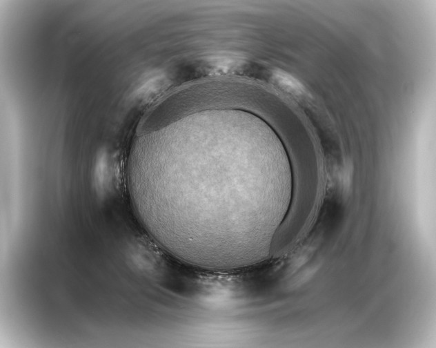 X0000087040276200705021142