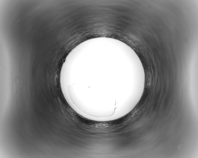 X0000087040279200705021142