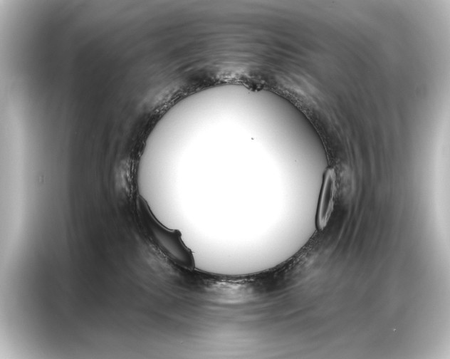 X0000087040280200705021142