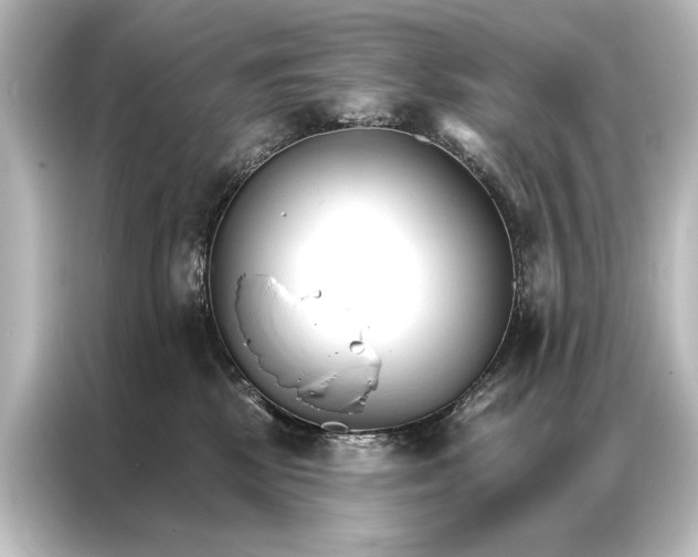 X0000087040281200705021142