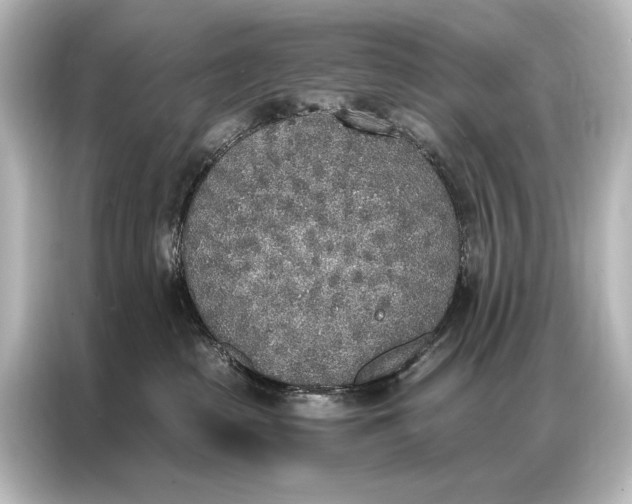 X0000087040285200705021143