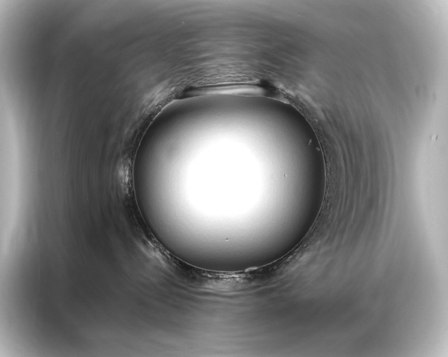 X0000087040288200705021143