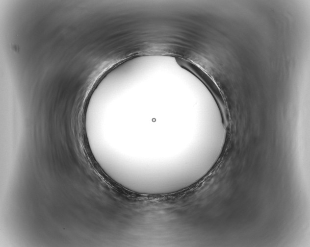 X0000087040289200705021142