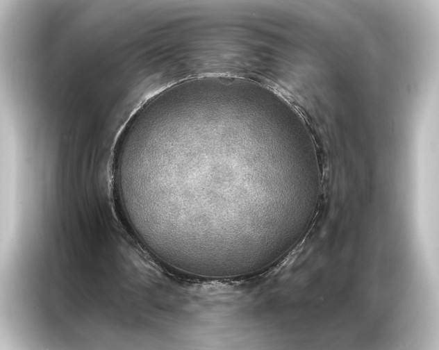 X0000087040290200705021142