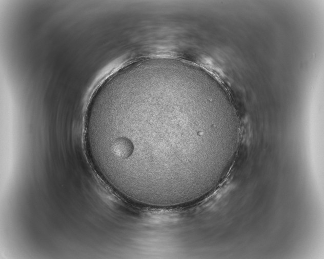 X0000087040293200705021142