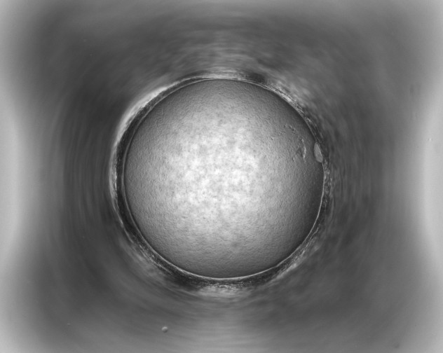 X0000087040294200705021142