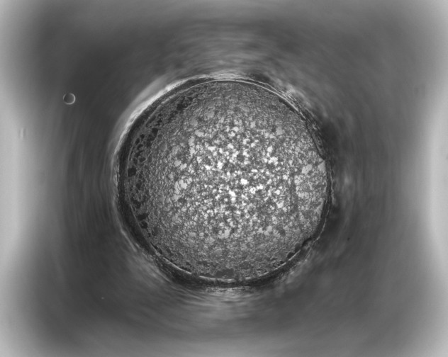 X0000087040295200705021142