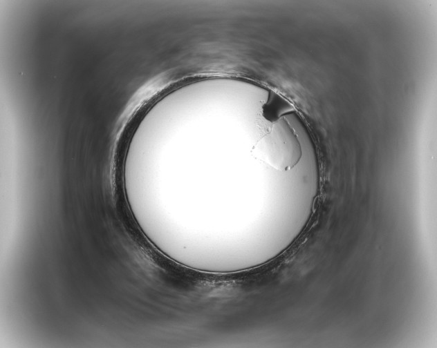 X0000087040296200705021142