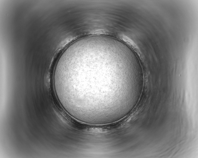 X0000087040298200705021142