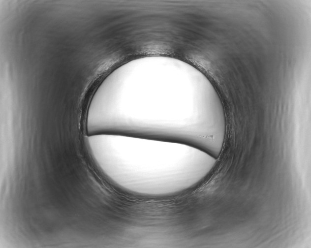 X0000087040299200705021142