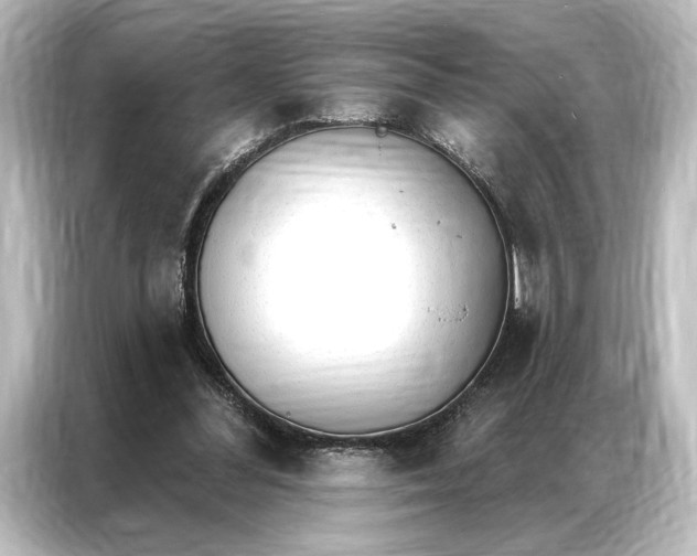 X0000087040300200705021142
