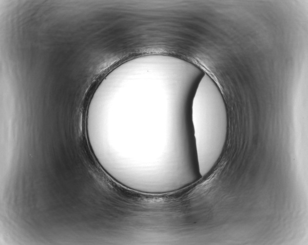 X0000087040301200705021142