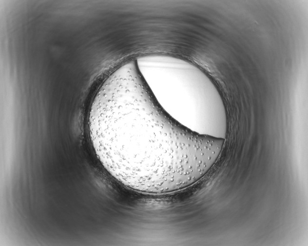 X0000087040303200705021142