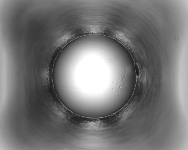 X0000087040306200705021142
