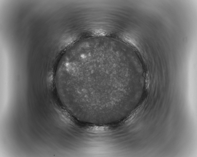 X0000087040314200705021142
