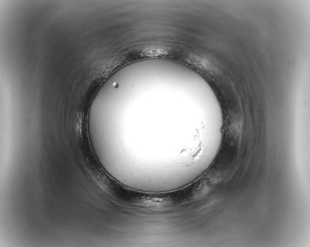 X0000087040315200705021142