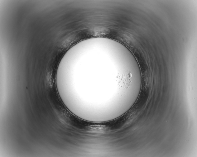 X0000087040316200705021142