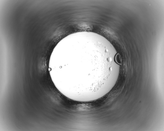 X0000087040320200705021142