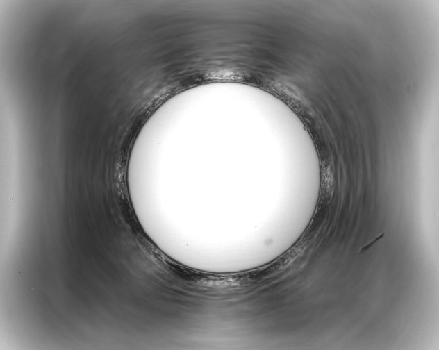 X0000087040322200705021142