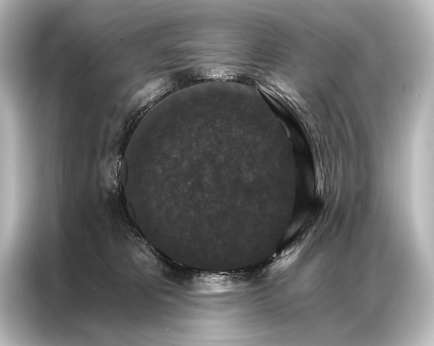 X0000087040325200705021141
