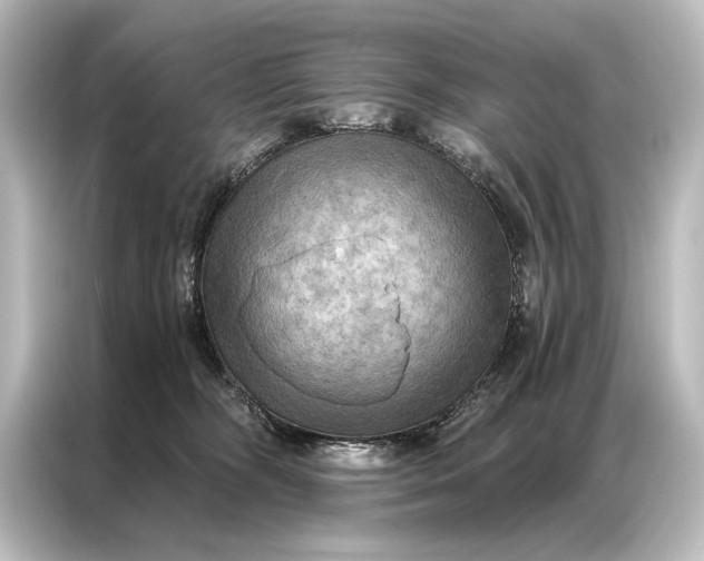 X0000087040326200705021141