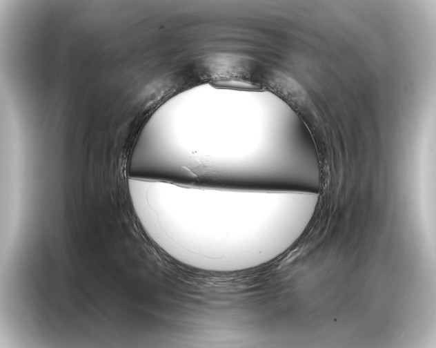 X0000087040329200705021141