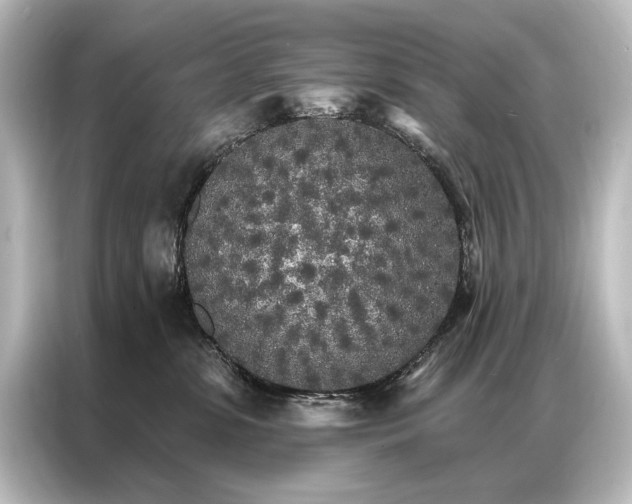 X0000087040331200705021141