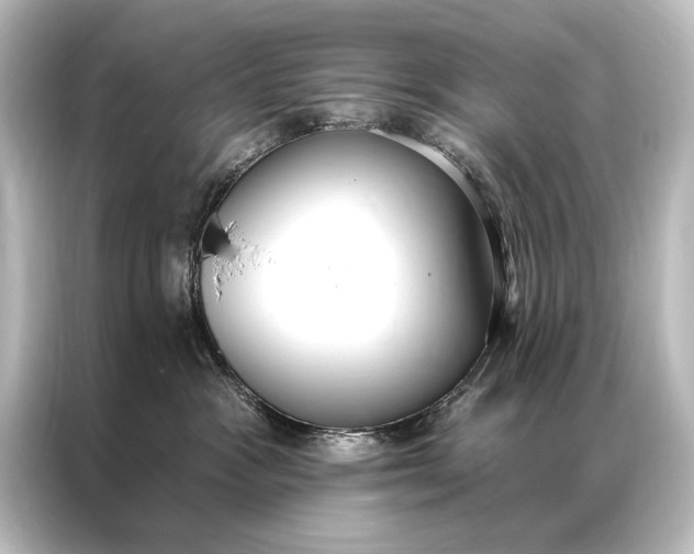 X0000087040333200705021141