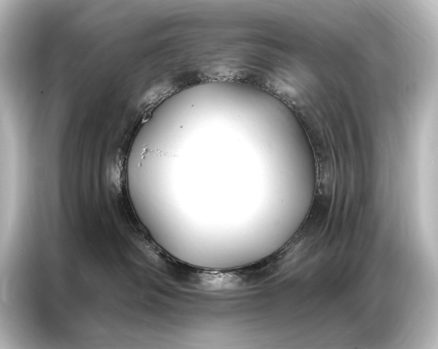 X0000087040334200705021141