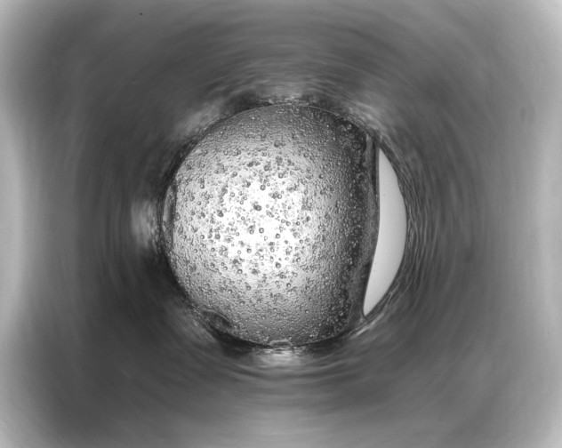 X0000087040335200705021141