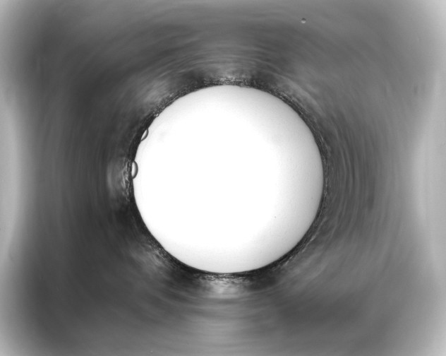 X0000087040336200705021141