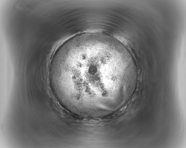 X0000087040337200705021141