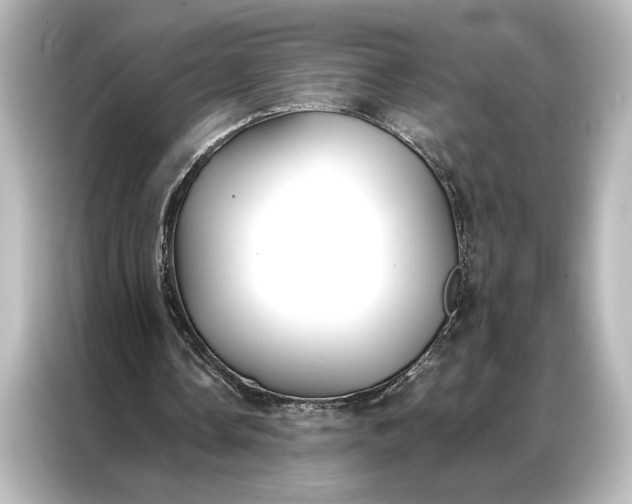 X0000087040338200705021141