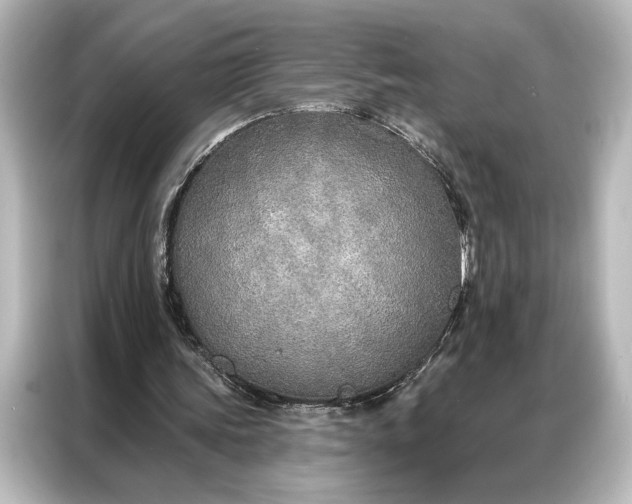 X0000087040339200705021141